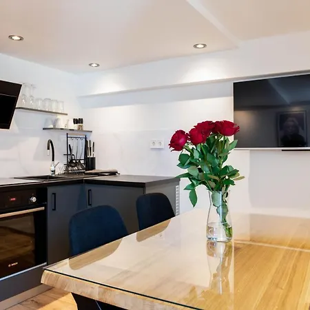 Music By Locap Group * Piran